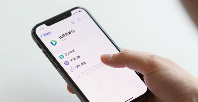 比特派钱包imtoken_比特派钱包身份验证_下载比特派钱包后的首要任务:确保安全和备份